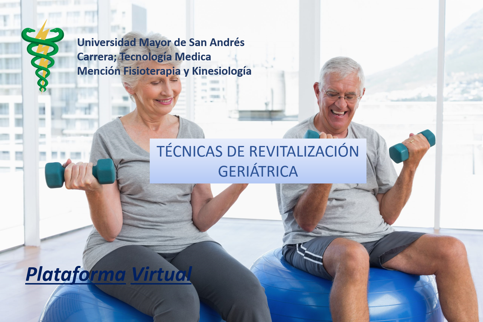 Plataforma virtual de Técnicas de Revitalización Geriátrica
